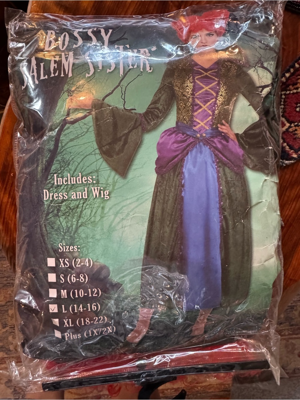 women’s sanderson sisters halloween costume